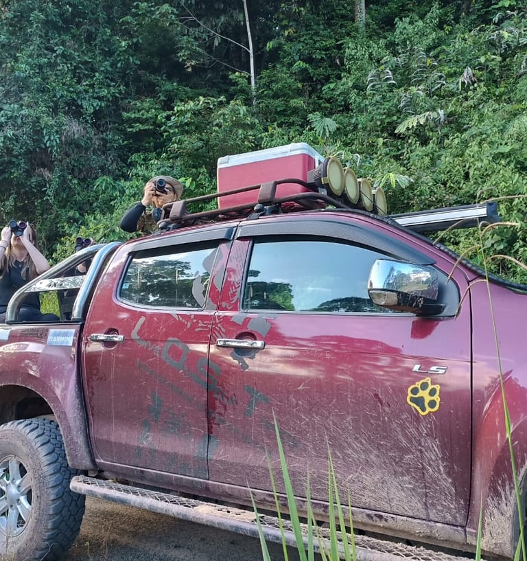 A guide taking picture while the traveller looking at the wildlife using binocular