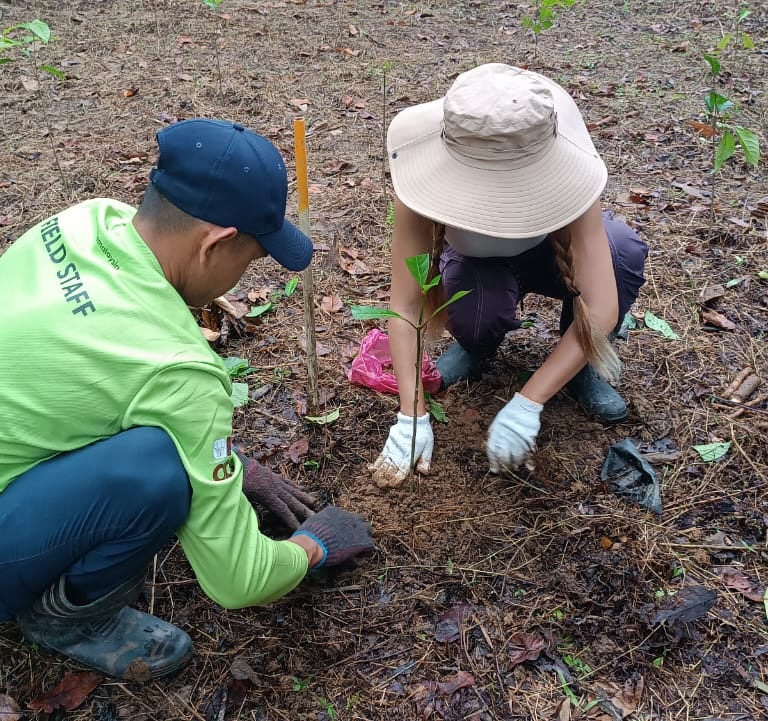 Volunteer planting fruit tree at Kinabatangan