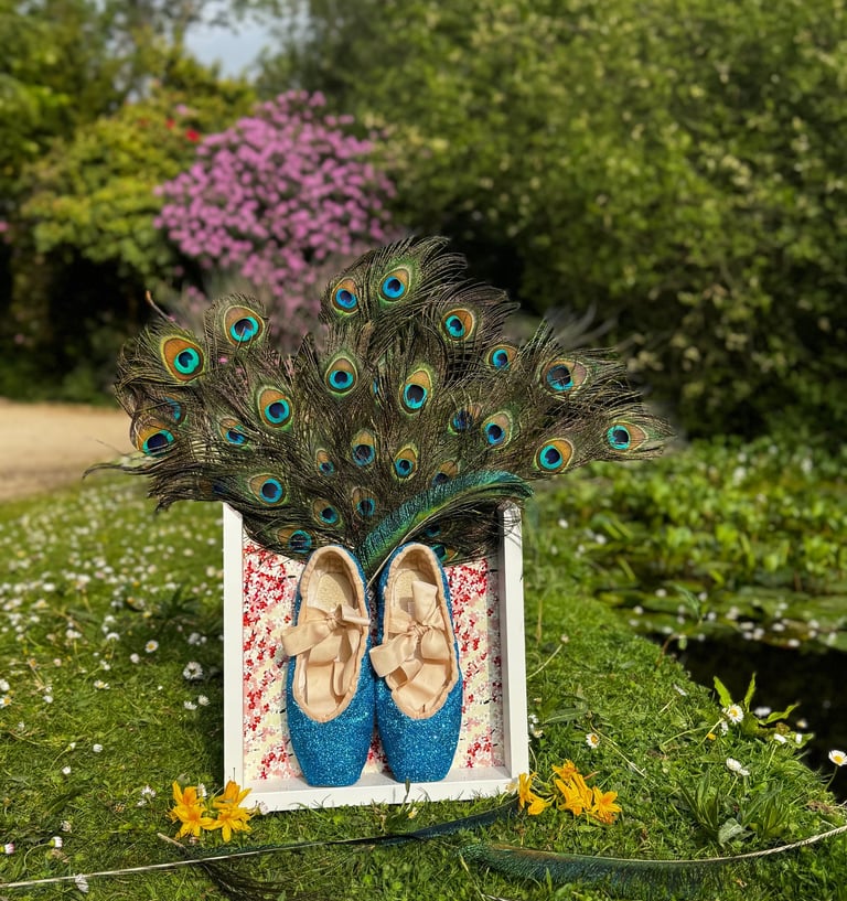 Bespoke framed pointe shoe art with peacock feathers