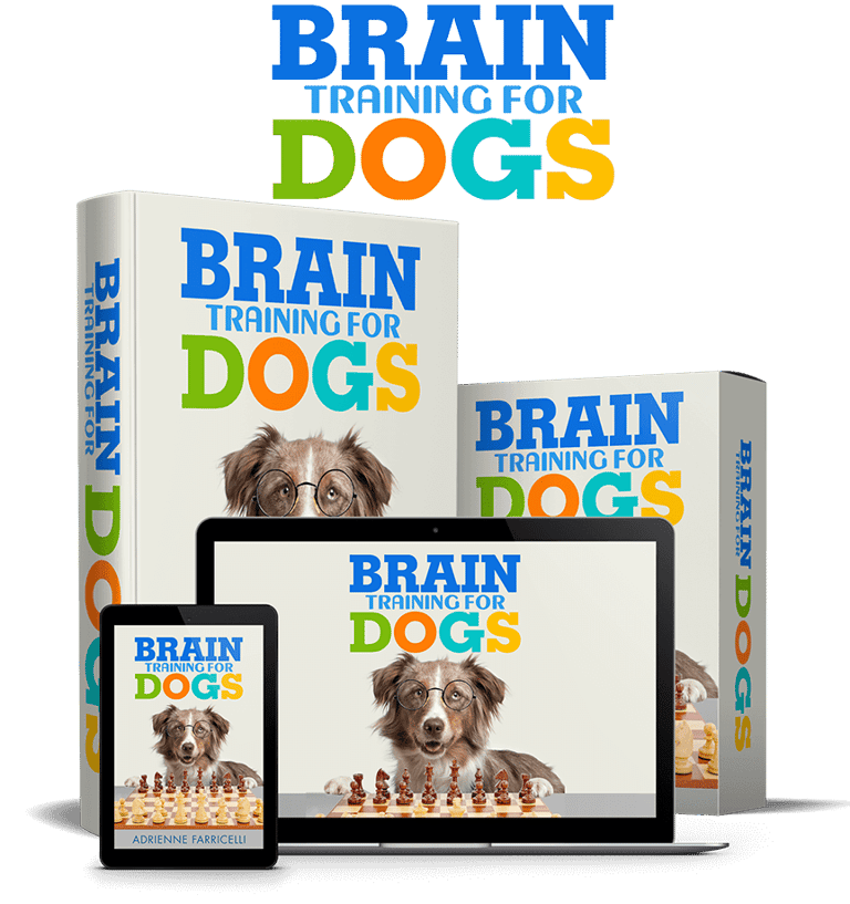 Dog Brain Training Books