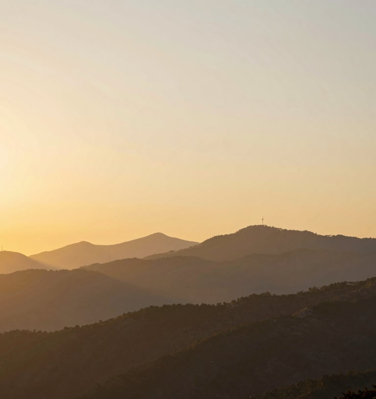 black blue and yellow textile