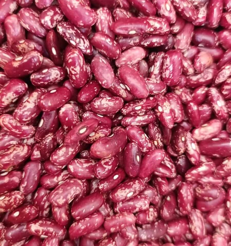 Frijol variedad Calima rojo moteado grano alargado de la despensa agrícola de Colombia