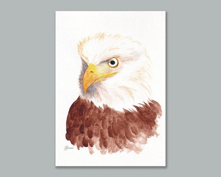 iagape x inHim watercolor postcards eagle