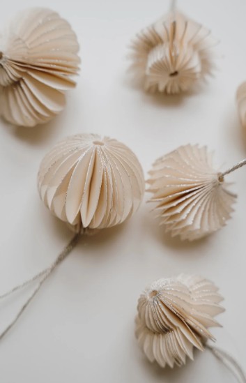 Pack nature, accompagnement appronfondi en naturopathie 