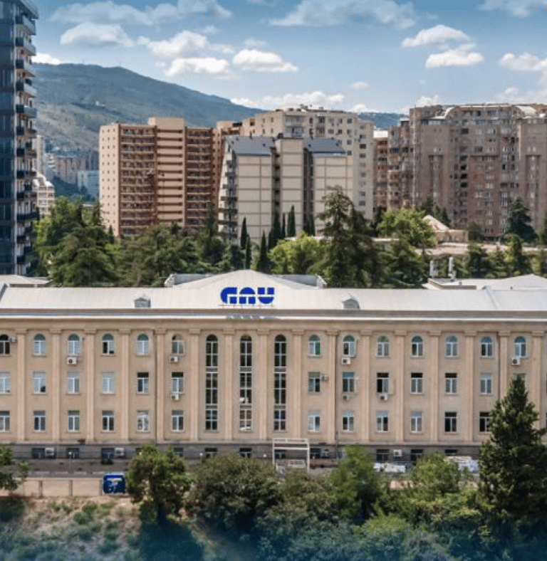 Georgian American University