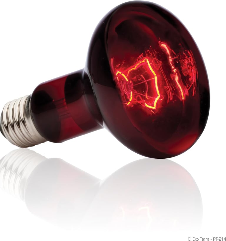 R80 Reptile light warm bulb heat bulb