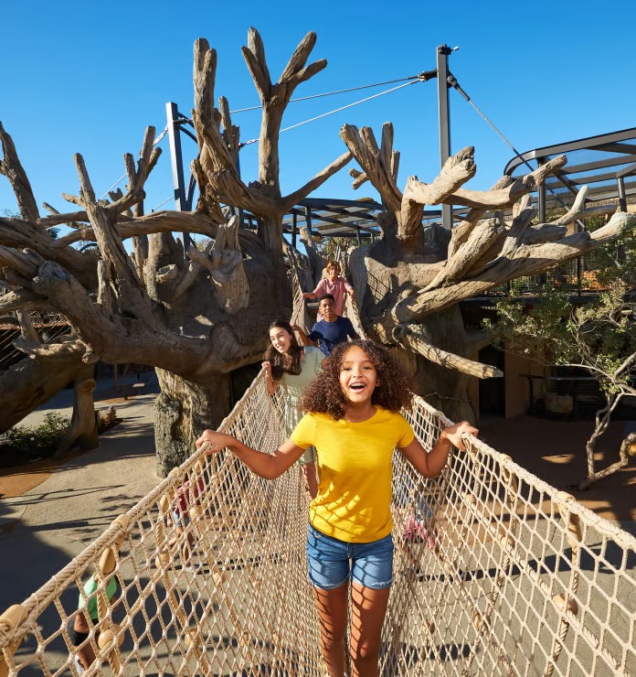 san-diego-zoo-family-park-california