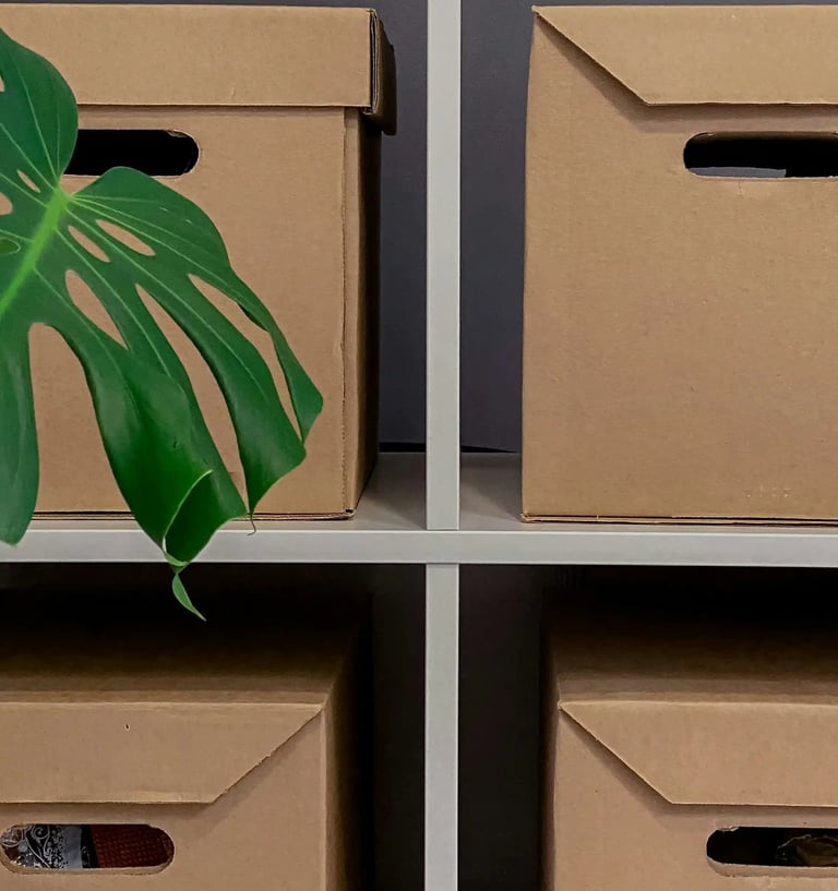 Close-up of four boxes with tropical plant symbolizing box breathing practice, everyday essentials