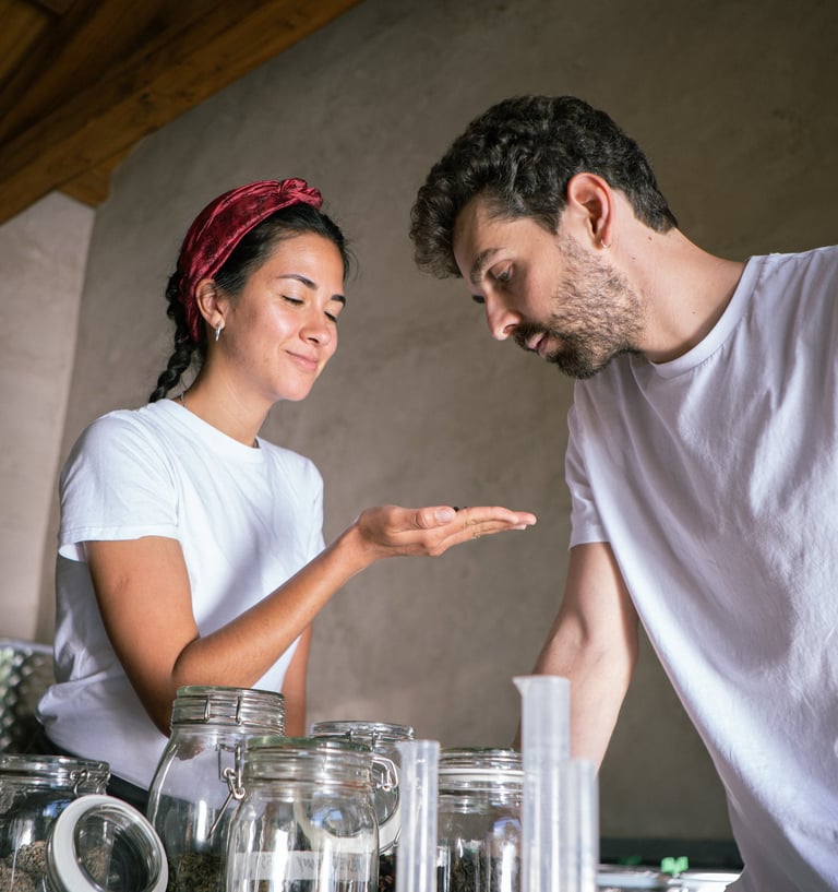 Selvaticalab a Torino- kombucha non pastorizzata