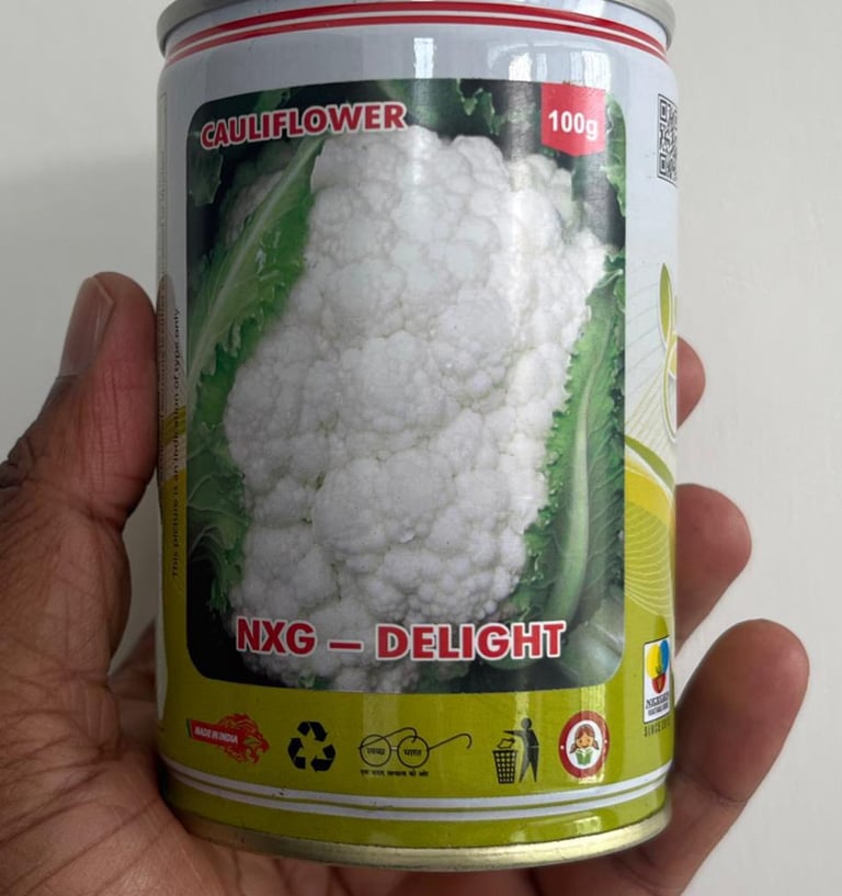 A hand holding a 100g can of NXG-Delight hybrid cauliflower seeds for commercial vegetable farming.