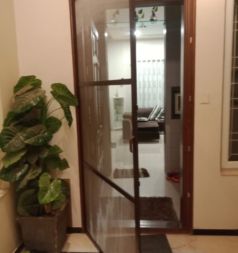 Sleek open type SS mesh Hinged flying door