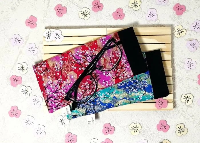 2 étuis à lunettes