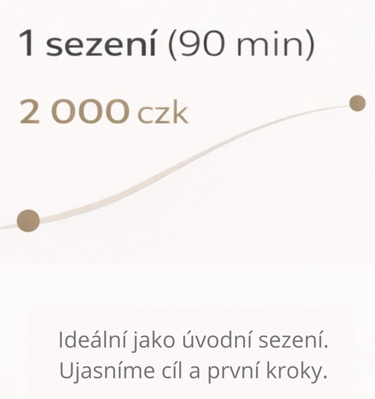 Balíček koučinku – jedno úvodní sezení na 90 minut pro ujasnění cíle a prvních kroků.