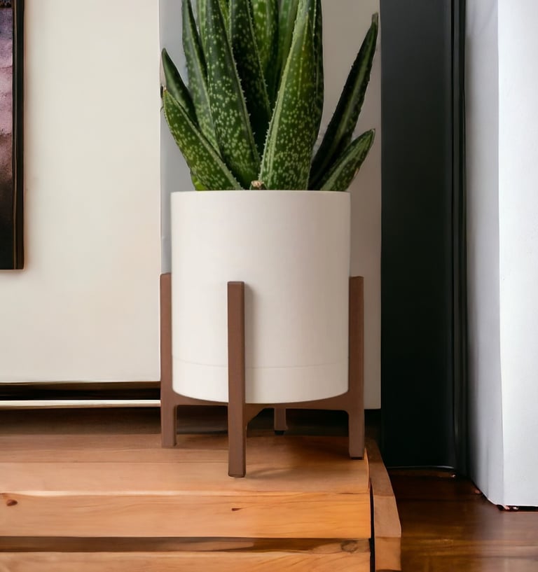 Maceta decorativa de interior, con bandeja de recolección de humedad