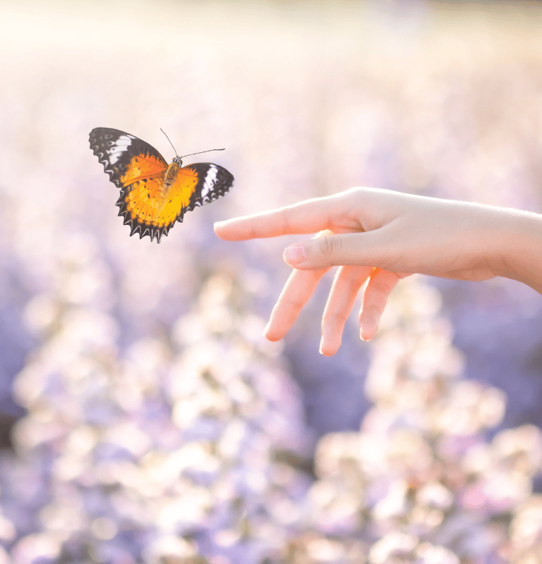 Sesiones Neurocoaching Online