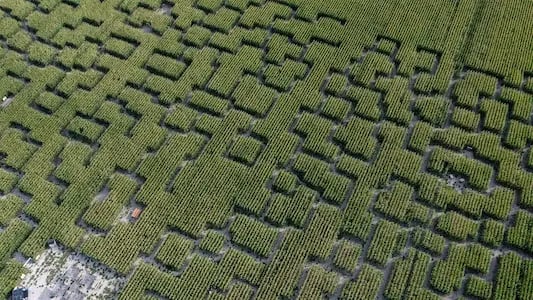 Ty Bayon - Les lieux à visiter - Culture et curiosités locales : Pop Corn Labyrinthe (Ploemel)