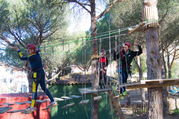 Aventura recorrido de arboles