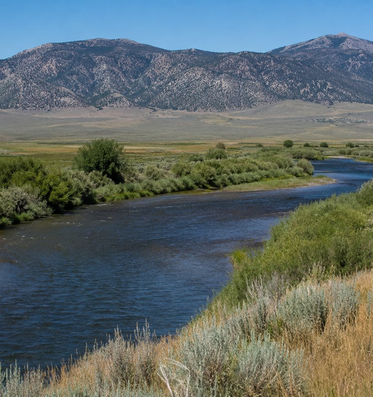 A wide blue river flowing through a green valley landscape with tall mountains in the background.