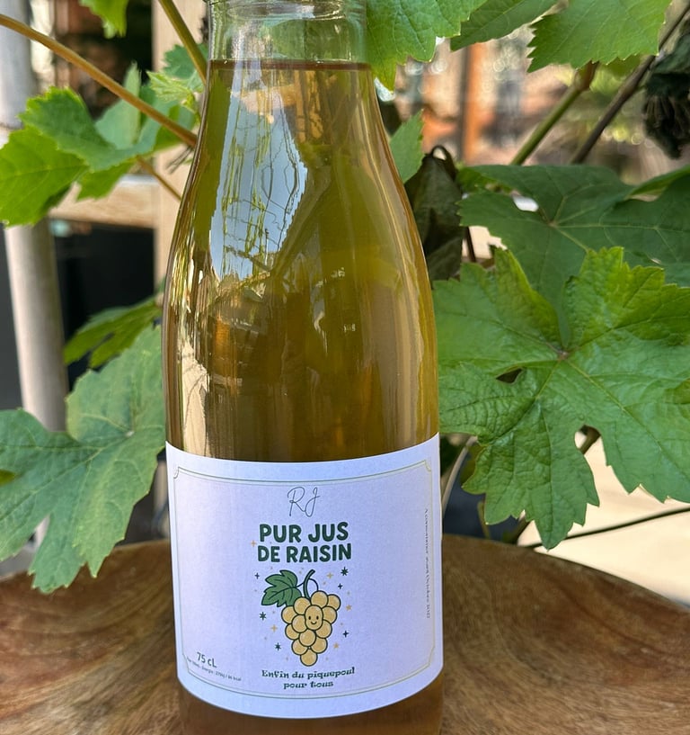 Photo of a grape vine behind a clear glass bottle featuring the RJ Pinet Wines logo on a label for the Pur Jus de Raisin