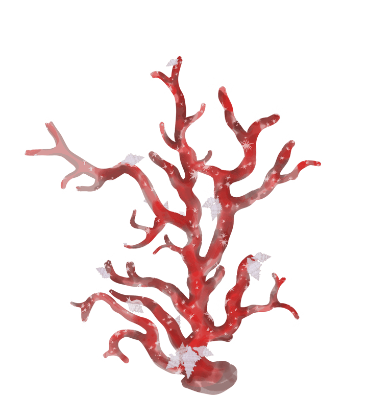 Corallium rubrum with Hirtomurex Squamosus, Adobe Photoshop drawing 