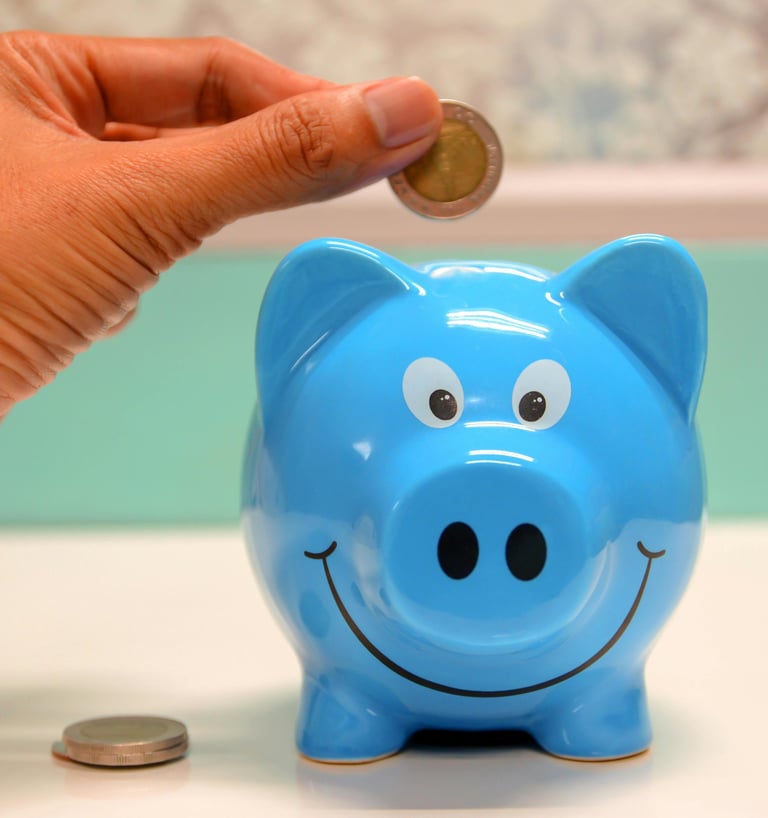 a person putting a coin into a piggy bank