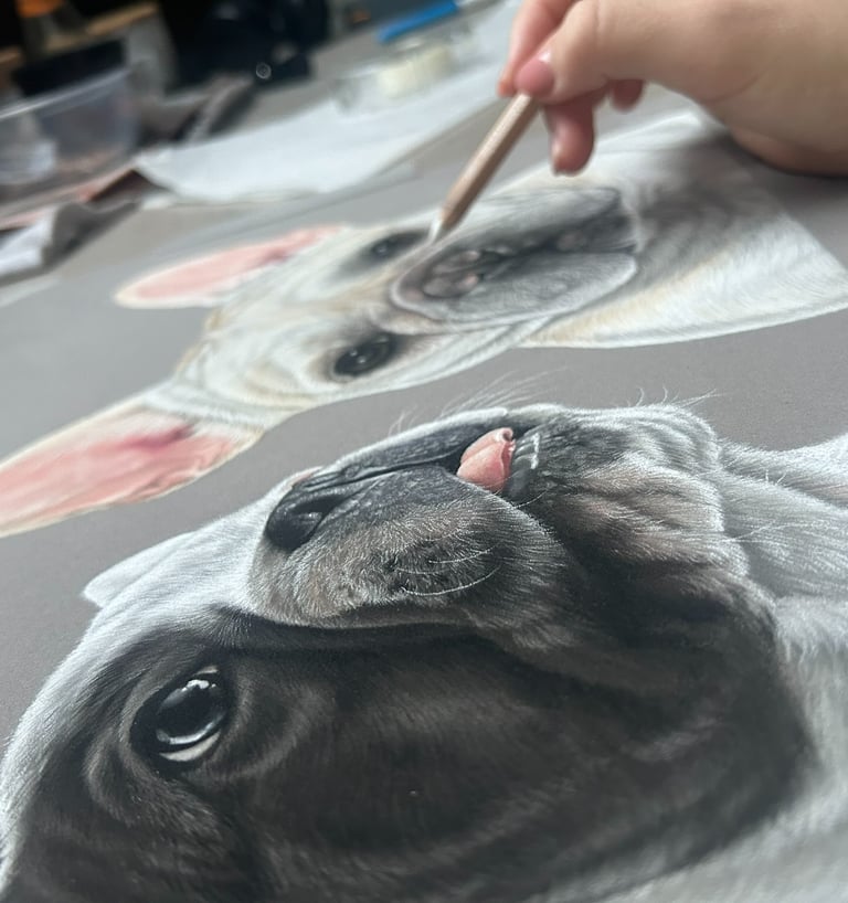 Pet portrait commission