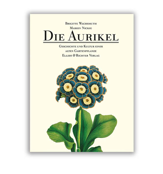 Buch: Die Aurikel, Wachsmuth/Nickig