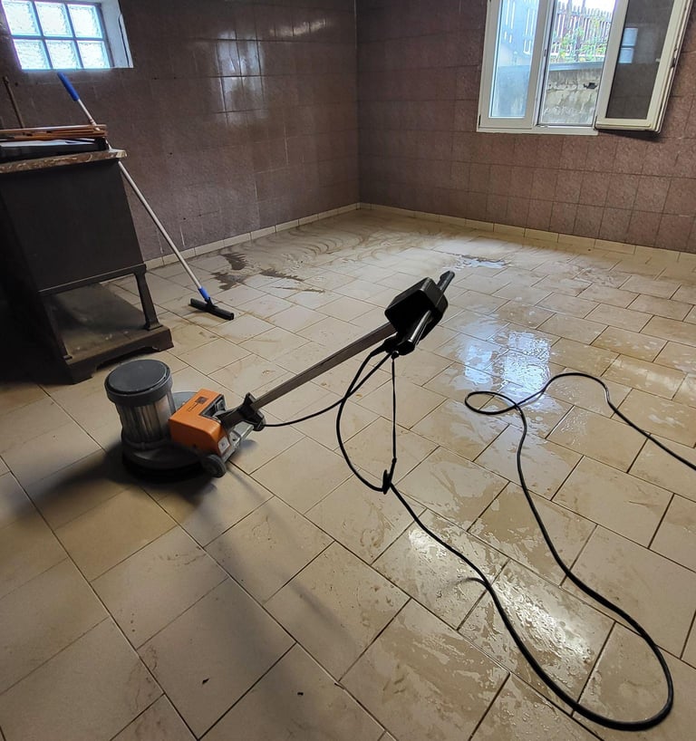 DV NET, votre expert en nettoyage de vitres et services professionnels à Molsheim