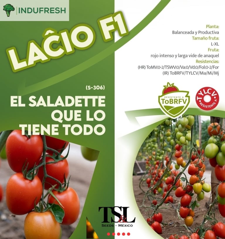 LACIO de TSL