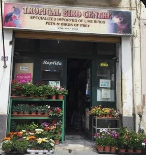 Tropical Bird Centre storefront featuring live birds, pets, and a vibrant display of potted flowers.
