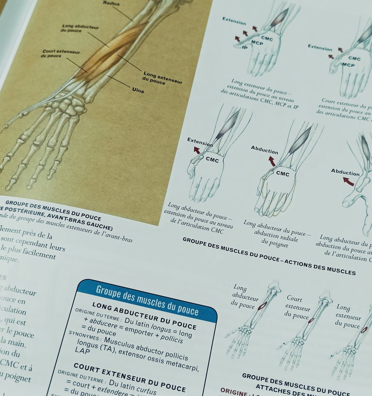 Le dessin d'anatomie classique par Valerie L. Winslow 