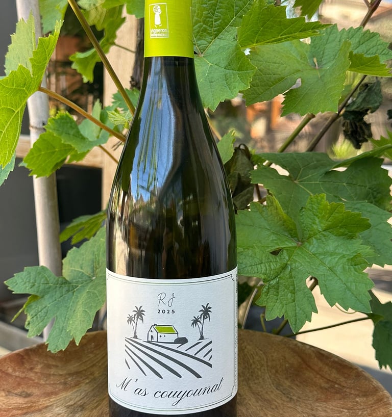 Photo of a grape vine behind a green wine bottle featuring the RJ Pinet Wines logo on a label for the M'as couyounat wine