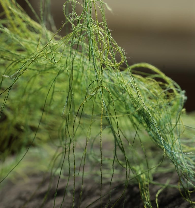  Olka Schok #FilsFreeTechnique 