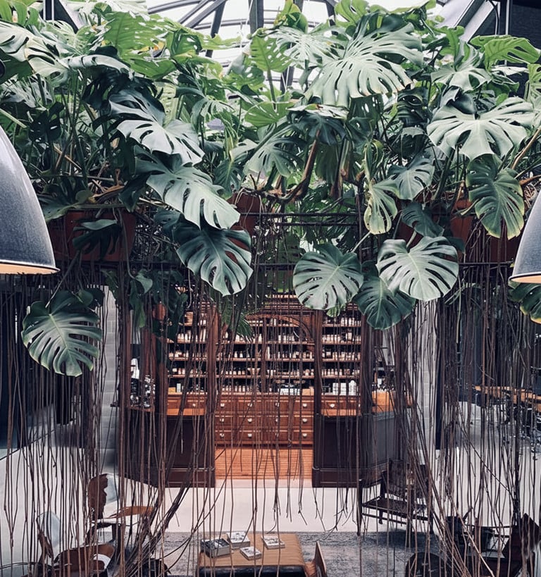 Head Office - ELADIET