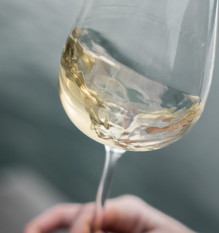 vins blancs et conseils en achat de grands creus à Annecy