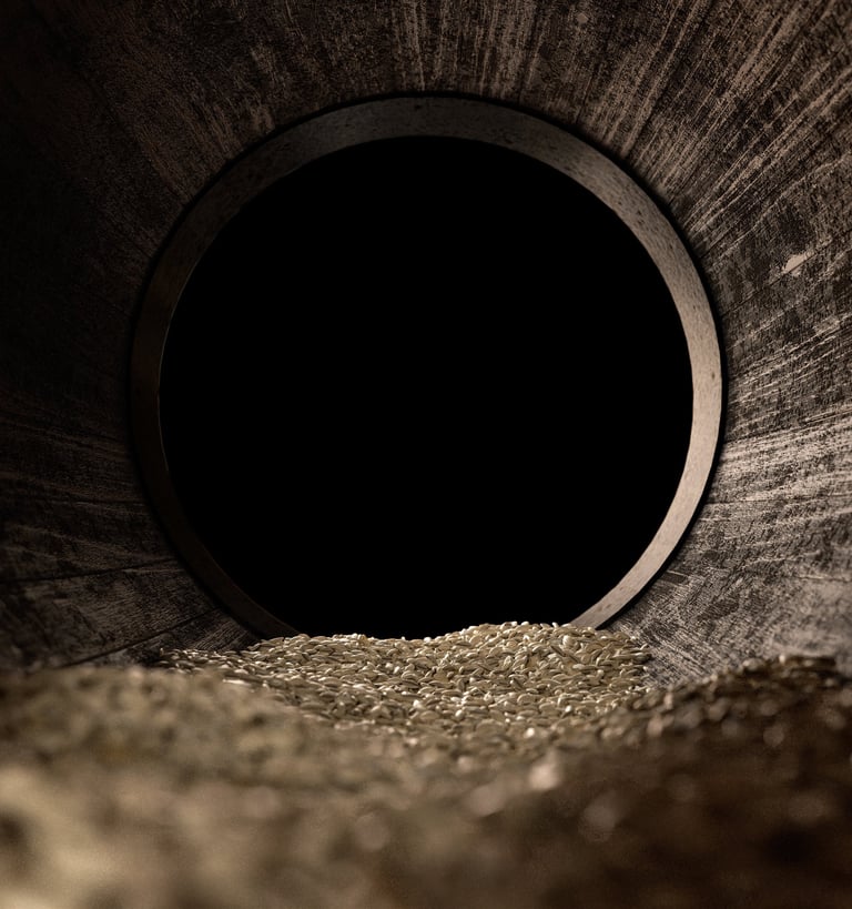 Internal photo of a whisky cask with malted barley