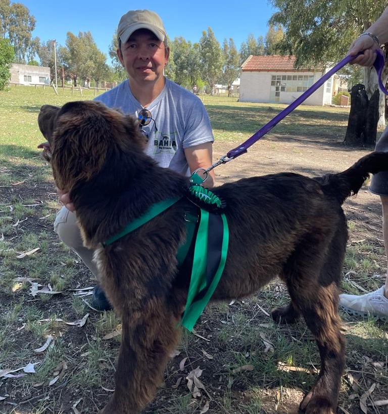taller de cachorros certificados por un profesional
