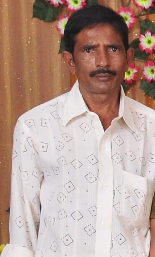 scribezonee director