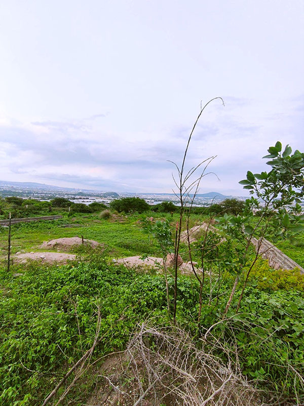 terreno plano regular de 1500 m2 en valle dorado