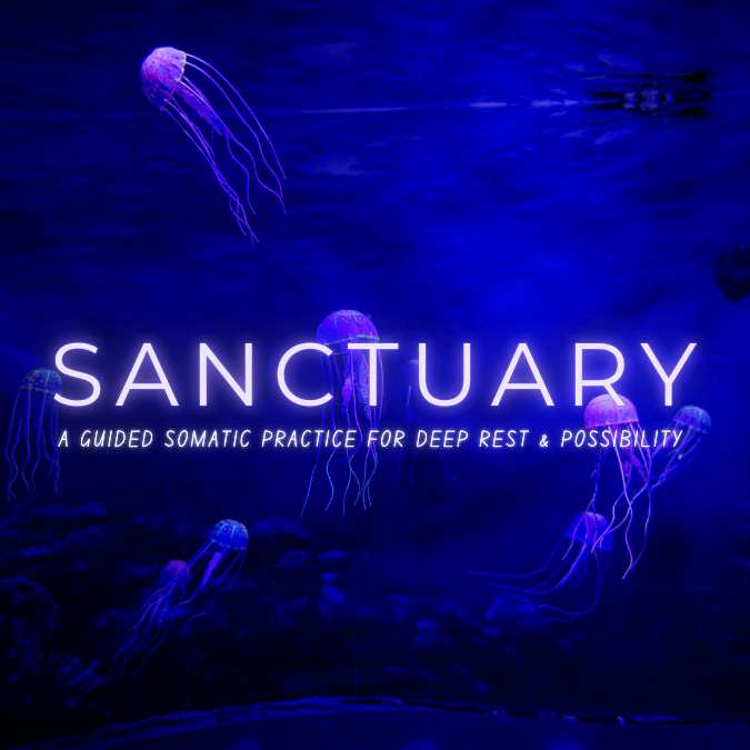 blue background with jellyfish
