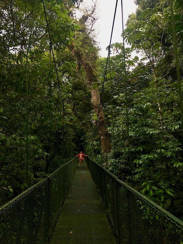 Monteverde Selvatura Park Hängebrücken