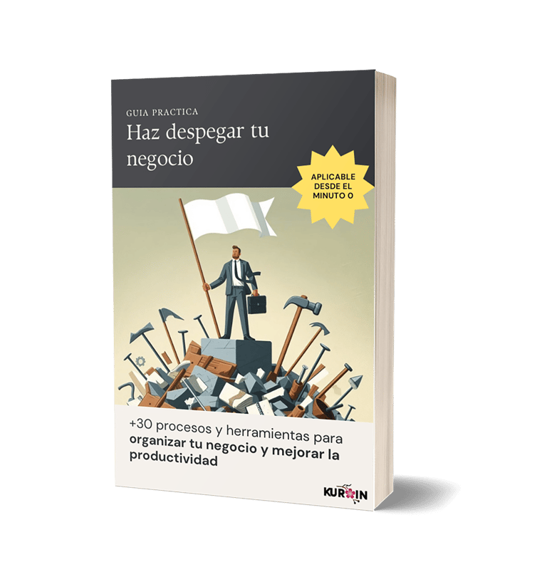 guía practica gratuita para ordenar tu negocio