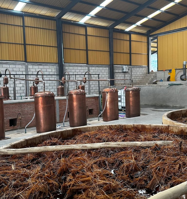 fábrica de mezcal