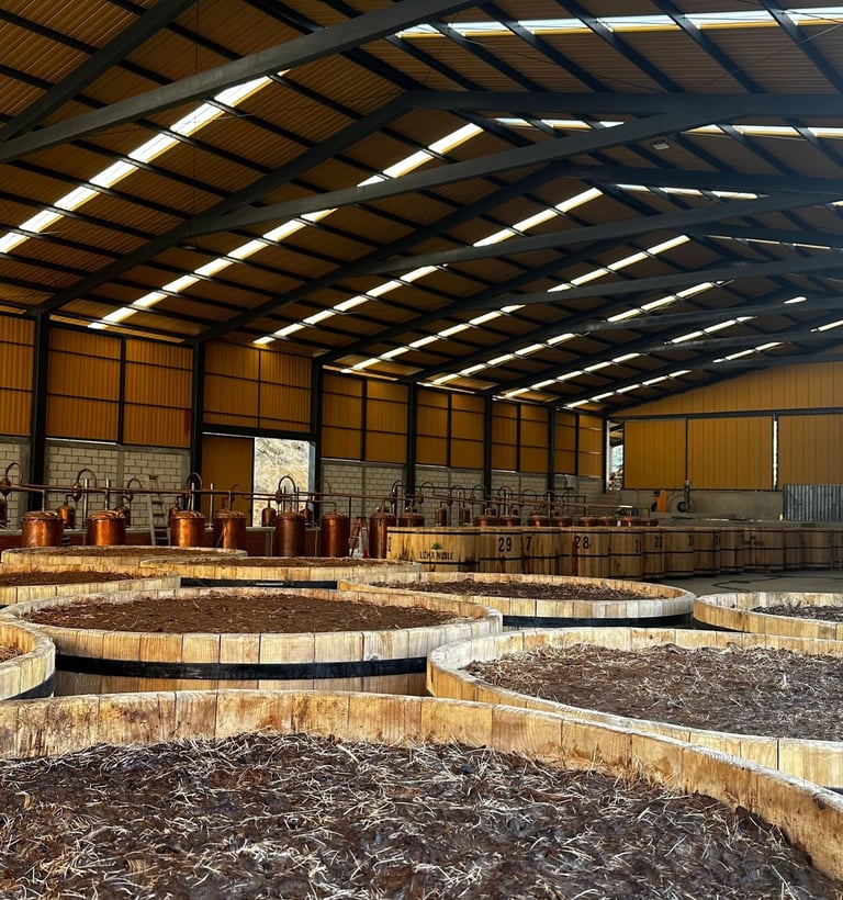 mezcal factory