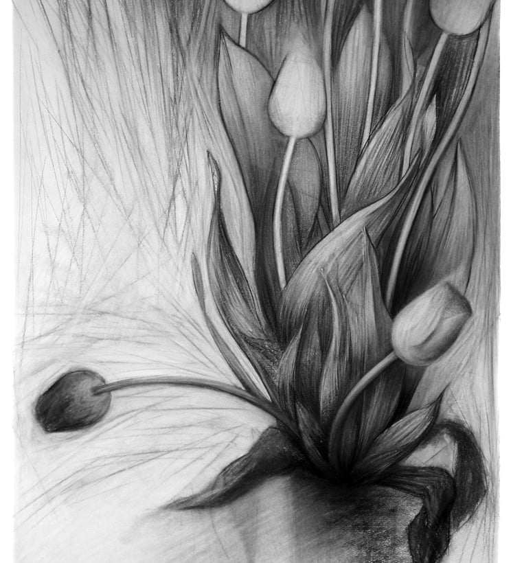 a black and white drawing of tulips