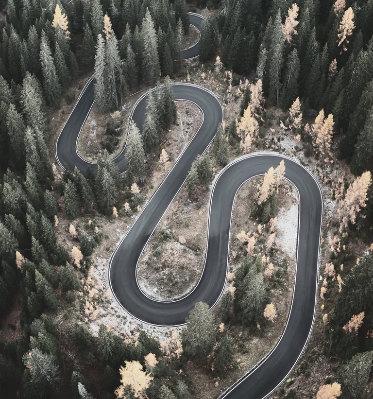 photo of a winding road through the forest