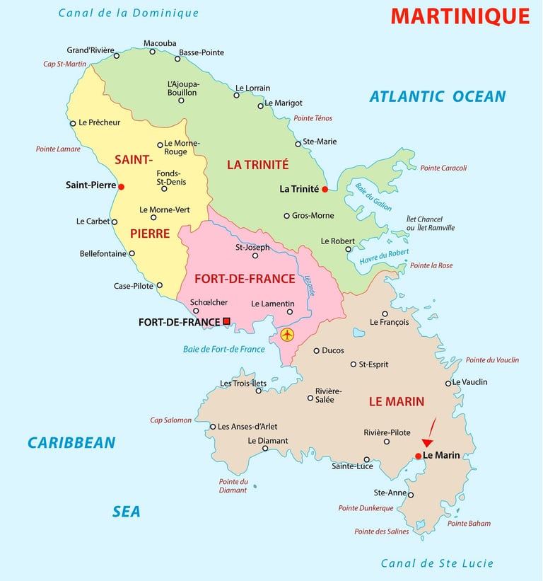 Carte zones livraison voiture Martinique LocXperience tarifs