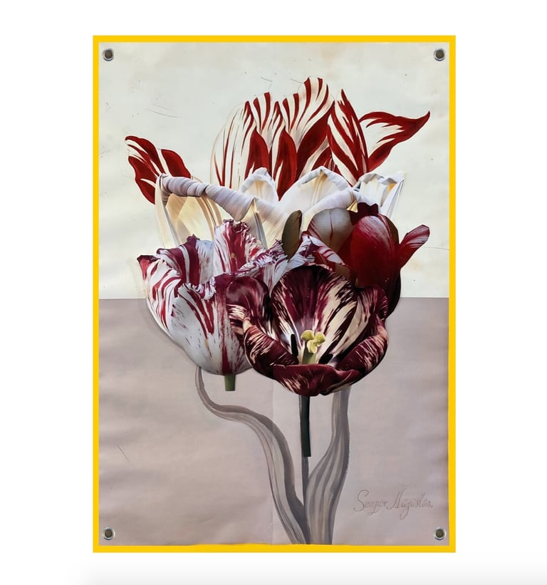 The Most Valuable Flower in the World - Vico Persson