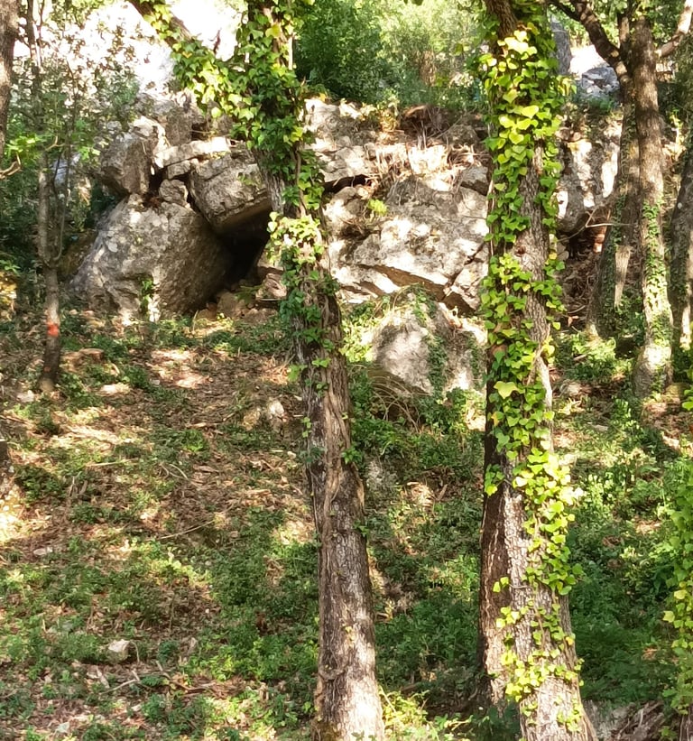 A hidden corner of our garden