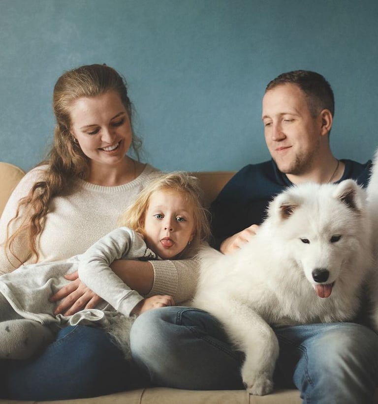 Samoyed puppies for sale in Des Moines, Iowa